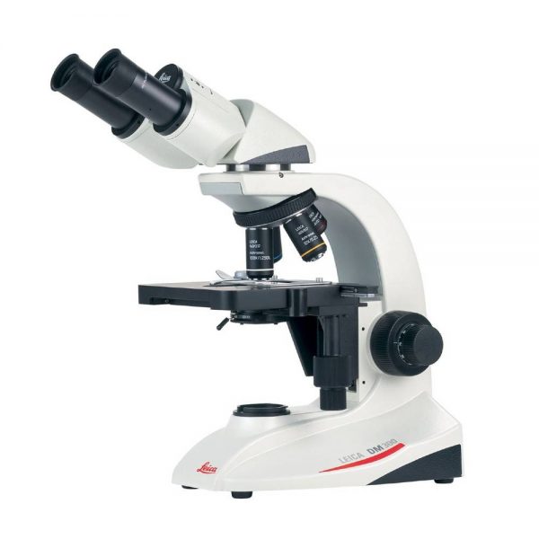 DM300 compound microscope