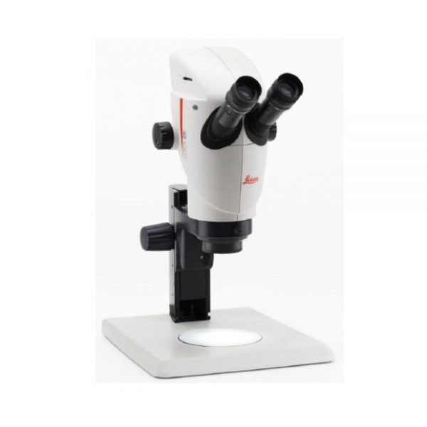 Stereo Microscope 2
