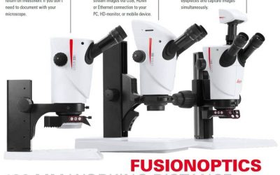 Best Stereo Microscope Philippines