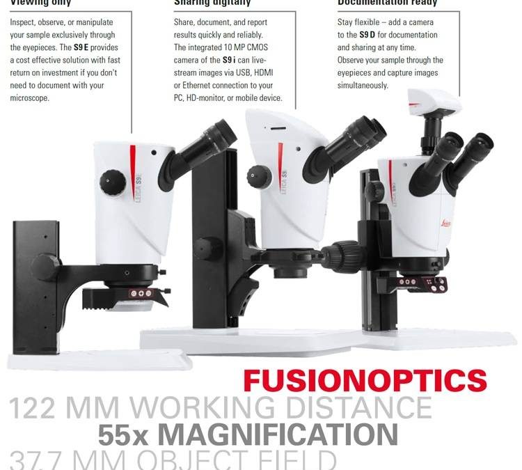 Best Stereo Microscope Philippines